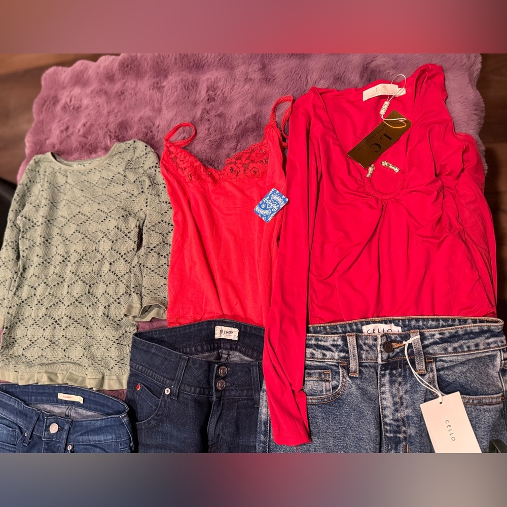 Intimately Free people, Hudson Jeans, Levi, cello, Lizette collection bundle
